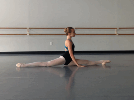 Evidance 25