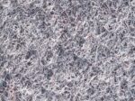 Moquette Elea