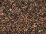 Moquette Elea
