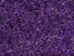 Moquette Elea