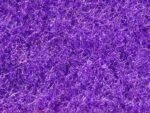 Moquette Elea