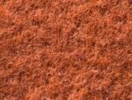Moquette Elea