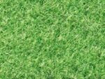 Moquette Elea