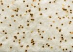 Moquette Elea Glitter