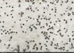Moquette Elea Glitter