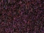 Moquette Venus