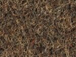 Moquette Venus