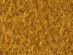 Moquette Venus