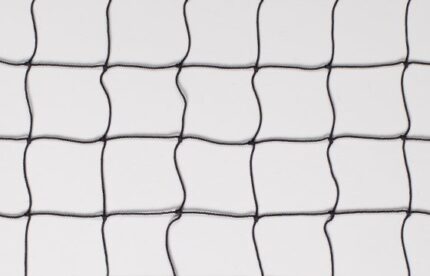 Scenic Net
