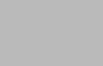 Lurex Satin